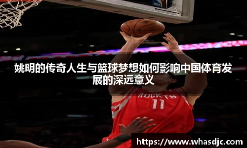 zoty中欧官网