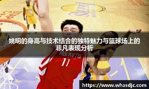 zoty中欧官方网站