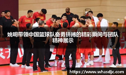 zoty中欧体育