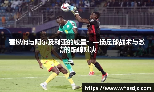 zoty中欧官网