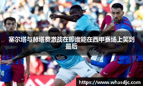 zoty中欧官方网站