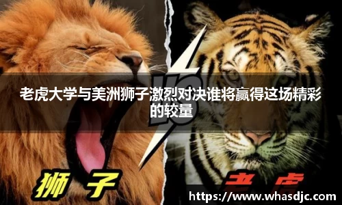 zoty中欧老虎大学与美洲狮子激烈对决谁将赢得这场精彩的较量