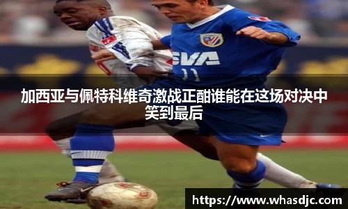 zoty中欧加西亚与佩特科维奇激战正酣谁能在这场对决中笑到最后